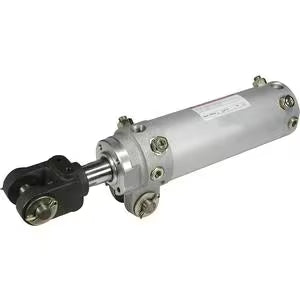 CKP1A50-100YA-P74-85G-X1830
