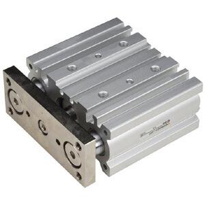 MGPM80-100