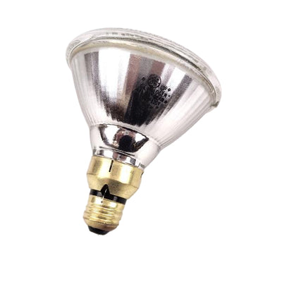 100PAR/H/FL25-120V