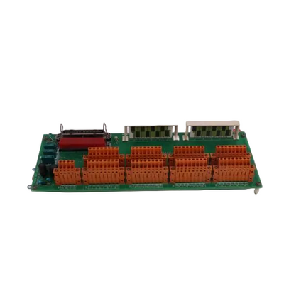 51309404-001