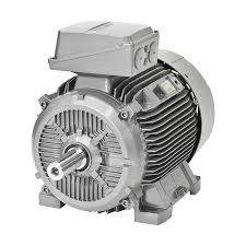 1LE1001-0DB22-2KA4